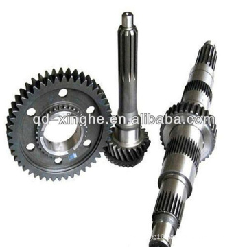 OEM Machine Parts Worm Gear According to Drawing
